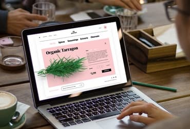 Website design in Tehran