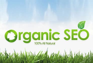 What is organic SEO?